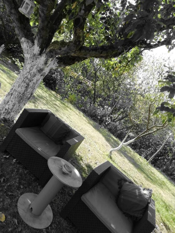 Bed and Breakfast Escapade Champetre Hauteville-sur-Fier Экстерьер фото
