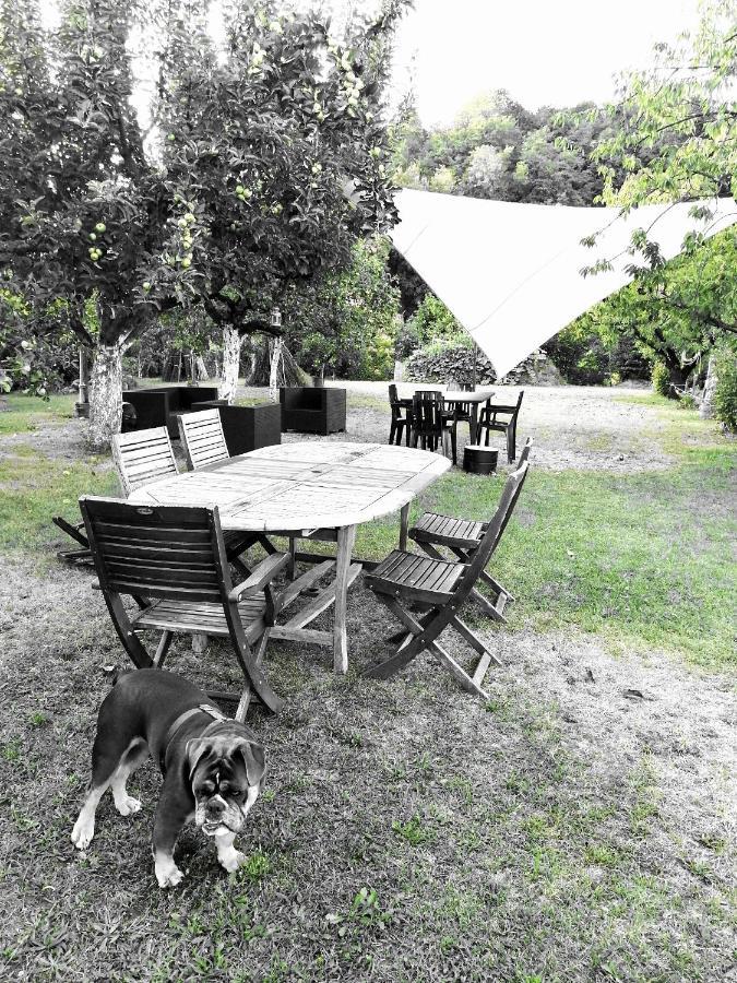 Bed and Breakfast Escapade Champetre Hauteville-sur-Fier Экстерьер фото
